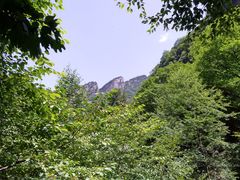 -青峰峡国家森林公园