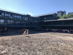 -大河宴椒麻鱼(嘉和园店)