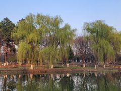 -白塘生态植物园