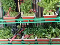 -東城故事·尋找姆媽的味道(玉兰路店)