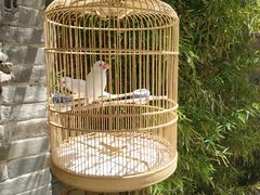 门面-那家小馆•北京菜•烤鸭(中关村店)