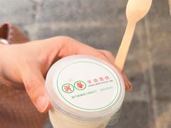 -洪馨椰子