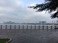 -万绿园