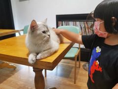 -猫色咖啡·猫咖