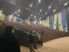 -天幕新彩云国际影城(激光巨幕店)