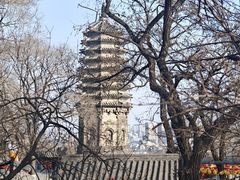 -高尔山公园