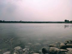 -绿堤公园