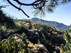 -太和山风景区