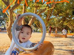 -广州白江湖森林公园