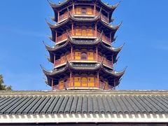 -红梅公园