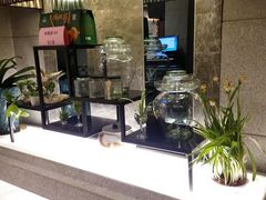 -飞鹿餐饮·陕南菜(北关店)