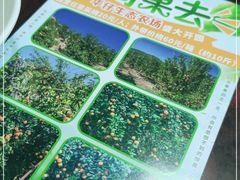-华仔土鸡店(创意产业园店)