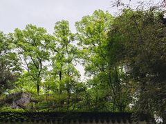 -南山植物园