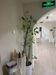 -Doria salon 小颜皮肤