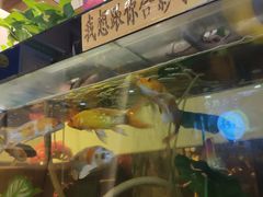 -伊尔曼都自助餐厅(102国道店)