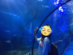 -蓬莱欧乐堡海洋极地世界