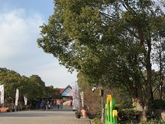 -上海海湾国家森林公园