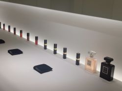 -紫御国际抗衰ZOE ANTI AGING