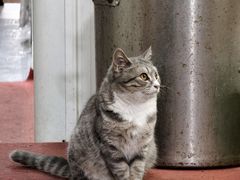 -再回首鸡肉米线(人民路一店)