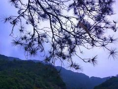 -牛鱼嘴原始生态风景区