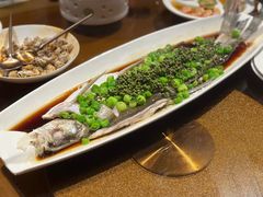 青花椒蒸生态白鱼-吉士·星座 JISHI CONSTELLATION(新天地店)