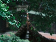 -成都市文殊院