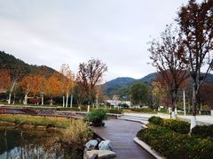 -岳麓山风景名胜区