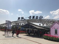 -紫颐香薰山谷景区