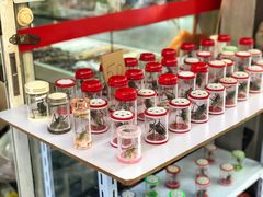 -曲阳花鸟市场(曲阳路店)
