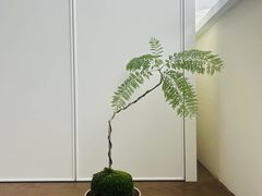 -岭艺装饰·空间艺术(松江店)