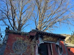 -泰山风景名胜区