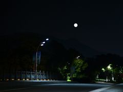 -三垟湿地
