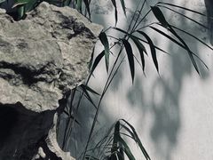 -豫园