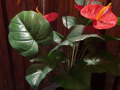 -九尊影院足道·轻奢SPA(丰庆路店)