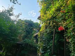 -杭州西湖风景名胜区-满觉陇四眼井