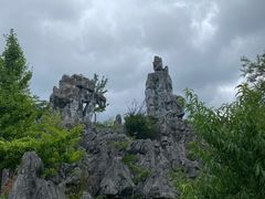 -千岛湖石林