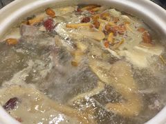 五指毛桃药膳鸽-鸽鸟轩(石岐店)