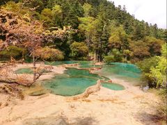 -黄龙山原始森林景区
