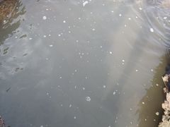 -乌石塘景区