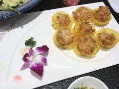 -东京爱上大连(中央大道店)