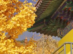 -云龙山