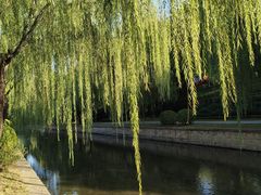 -元大都城垣遗址公园
