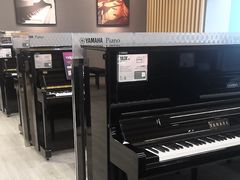 -雅马哈乐器专卖店(广州旗舰店)