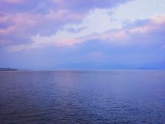 -才村湿地公园