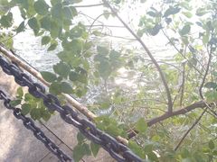 景点-大湾区中央湿地公园