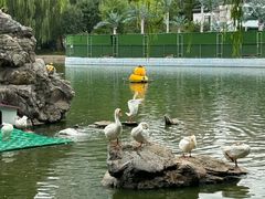 -团结湖公园
