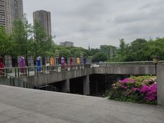 -重庆市江北嘴中央商务区中央公园