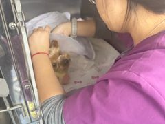 -全心全意动物诊疗中心医院(北苑店)