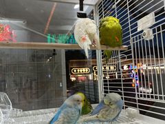 -捞神煲汤火锅(湖滨商业街店)