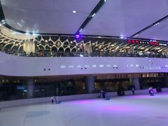 -TheRink大零溜冰场(IFS国金中心店)